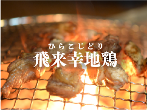 飛来幸地鶏（ひらこじどり）