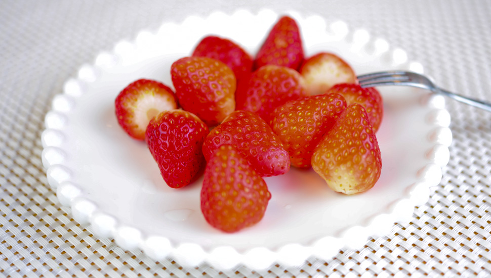 No.3 酸味のある果実や味気のない果実